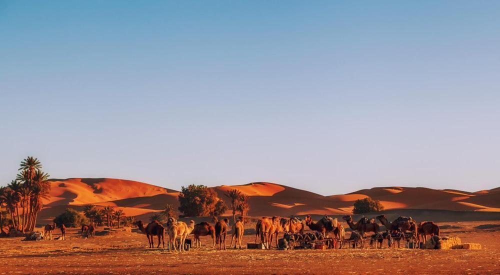 Auberge Ocean des dunes Merzouga Extérieur photo